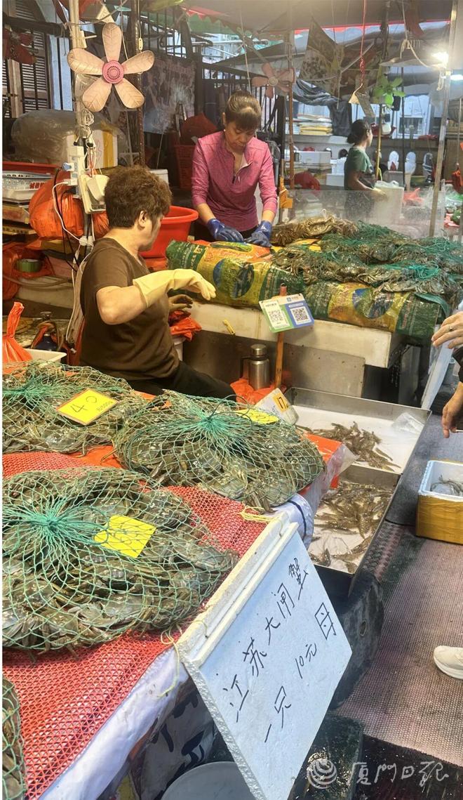 冲29℃!厦门升温时间就在……pg模拟器电脑版即将反转!直(图2) 冲29℃!厦门升温时间就在……pg模拟器电脑版即将反转!直(图2)