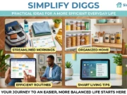 SimplifyDiggs: Practical Ideas for a More Efficient Everyday Life. SimplifyDiggs Practical Ideas for a More Efficient Everyday Life